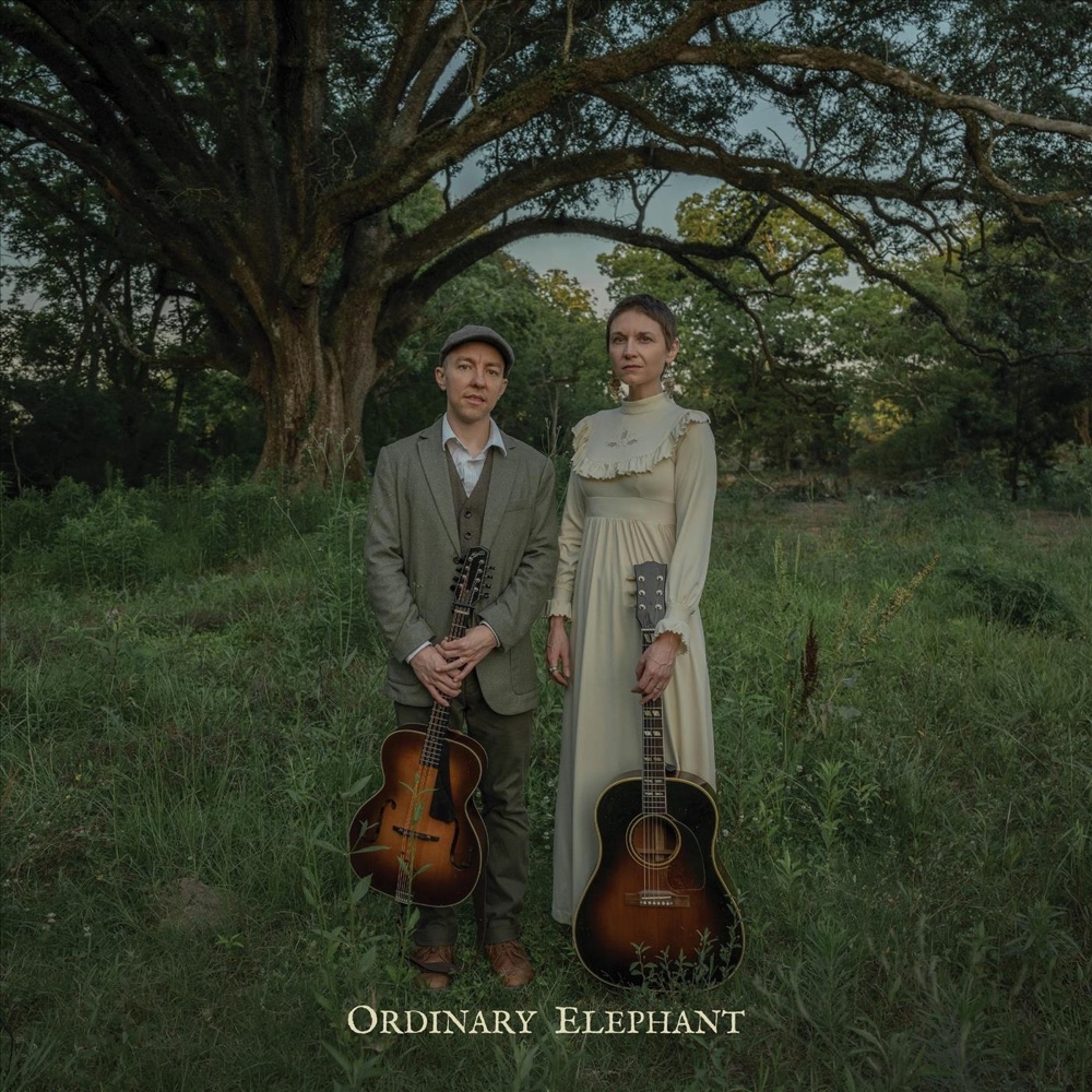 Ordinary Elephant - Ordinary Elephant album cover