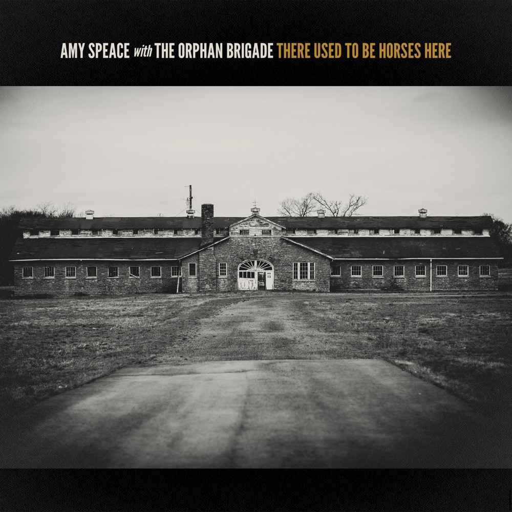Amy Speace and the Orphan Brigade - There Used To Be Horses Here album cover