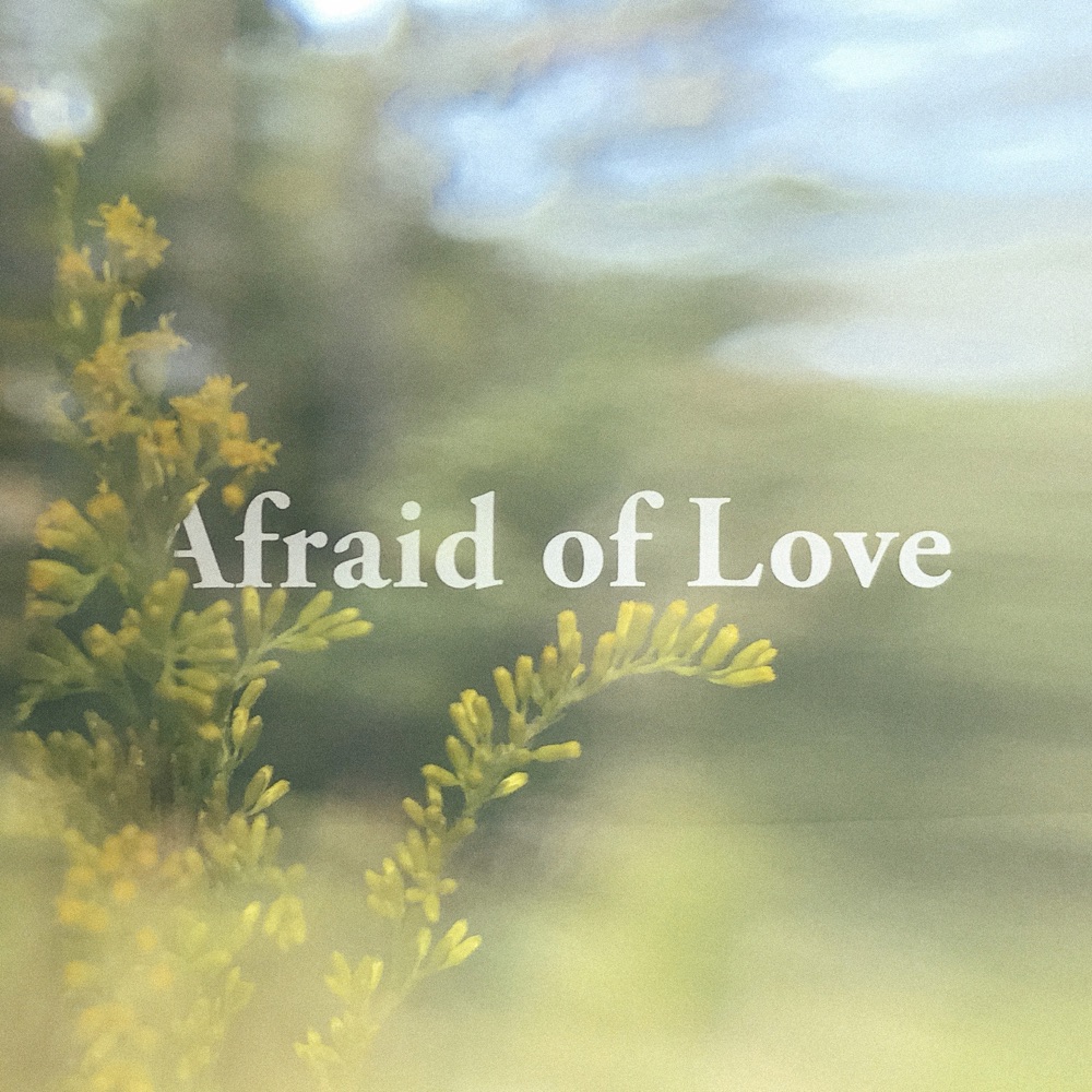 Beta Radio - Afraid of Love album cover