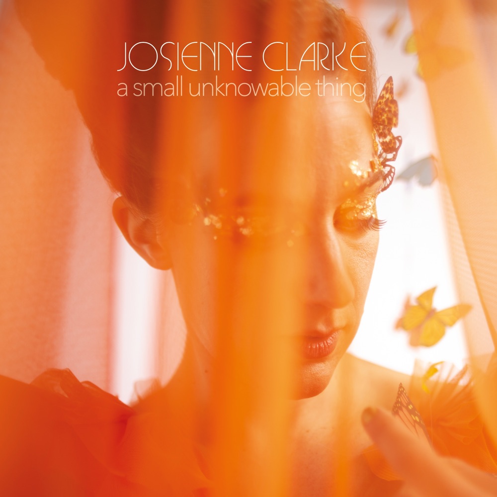 Josienne Clarke - A Small Unknowable Thing album cover