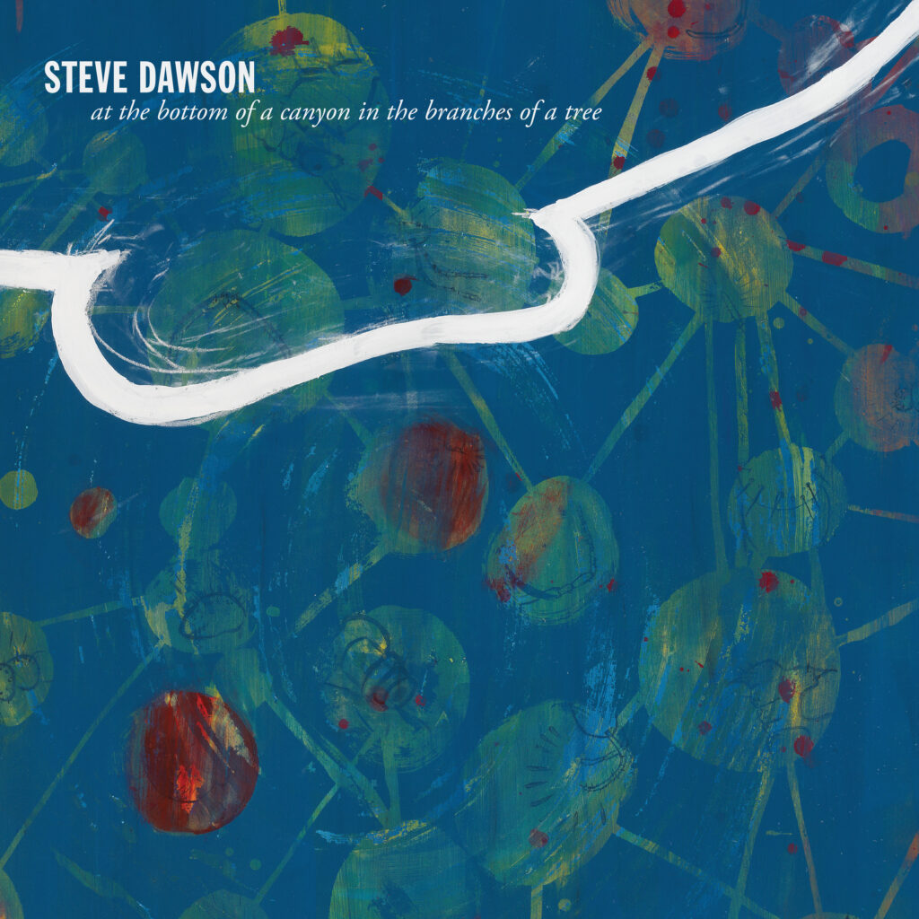 Steve Dawson - At the Bottom of a Canyon in the Branches of a Tree album cover