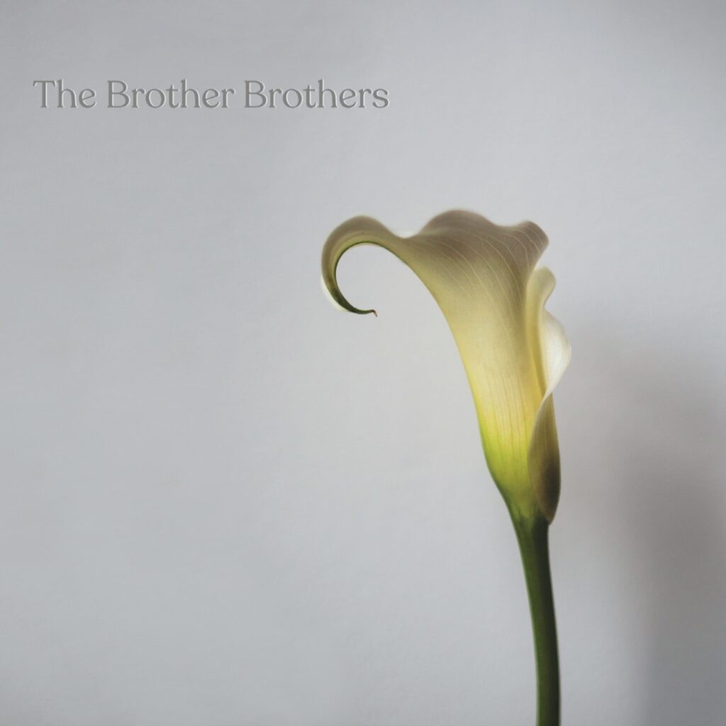 The Brother Brothers - Calla Lily album cover