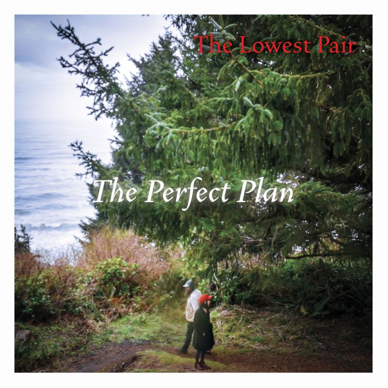 The Lowest Pair - The Perfect Plan album cover