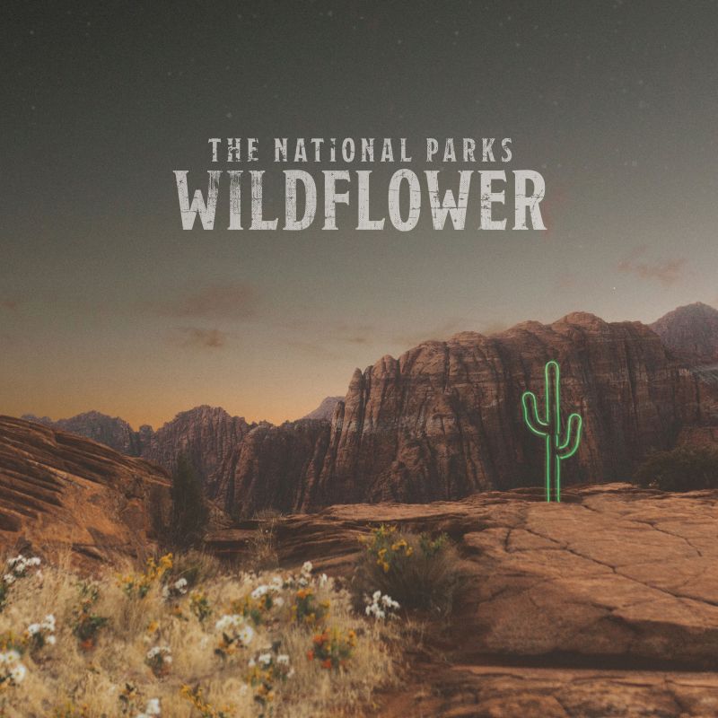 The National Parks - Wildflower album cover