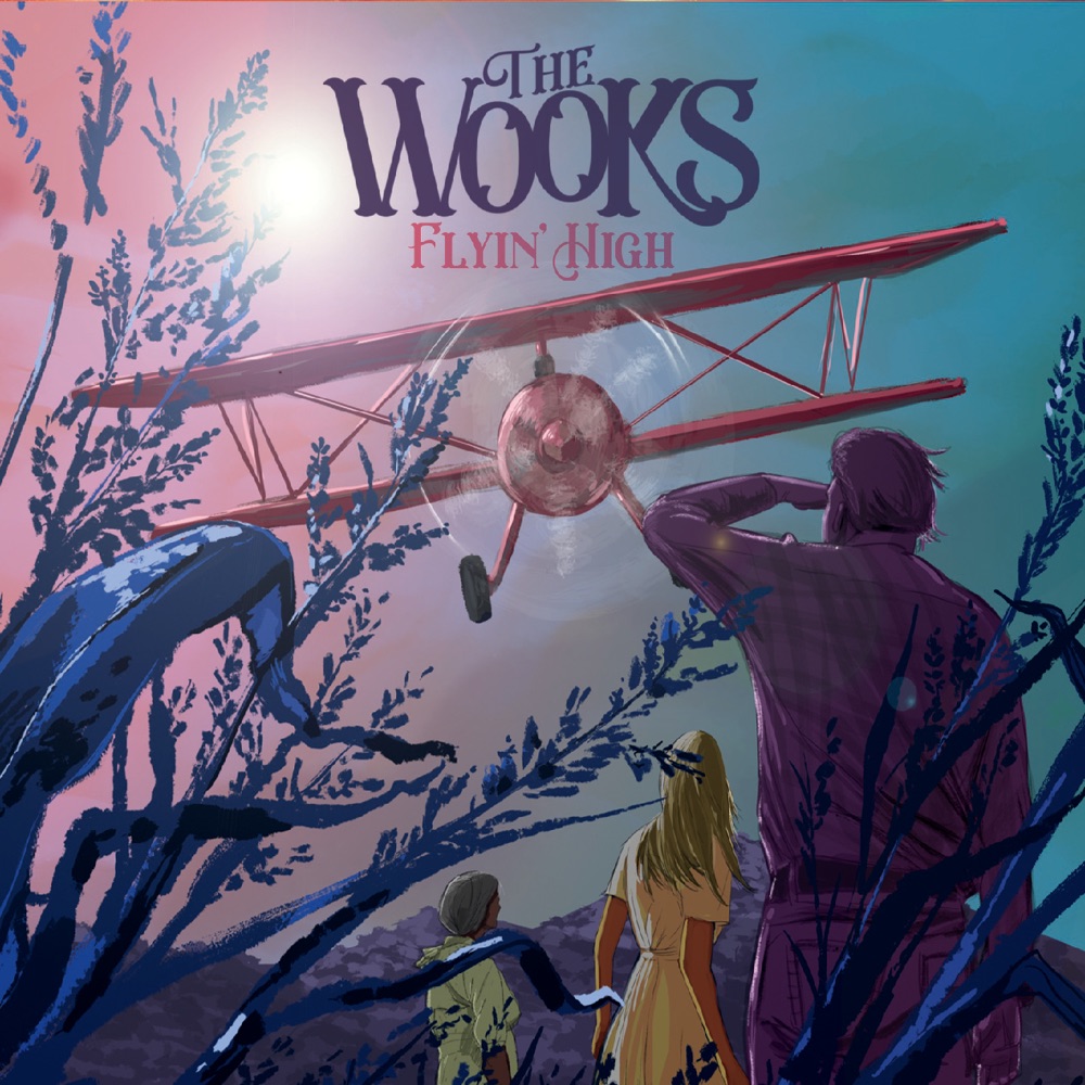 The Wooks - Flyin' High album cover