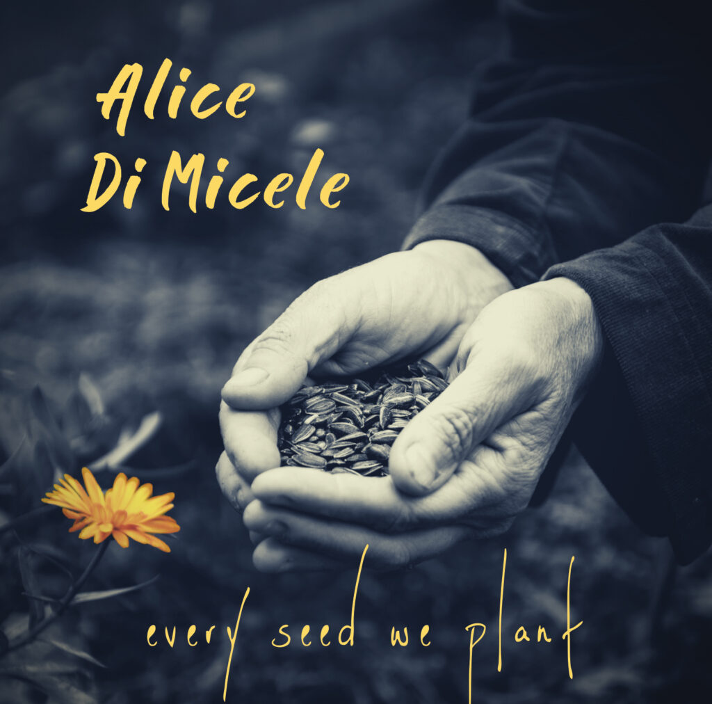 Alice DiMicele - Every Seed We Plant album cover