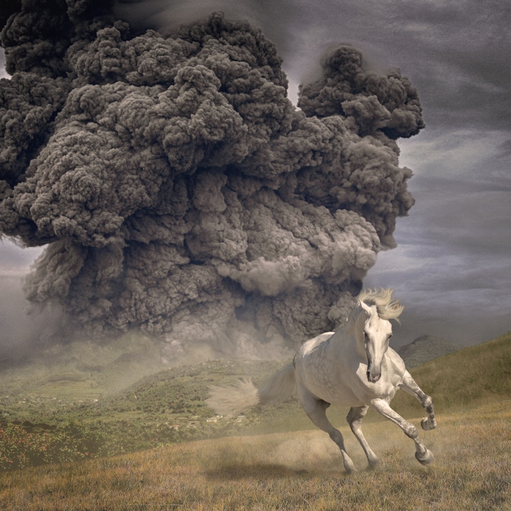 The White Buffalo - Year of the Dark Horse album cover