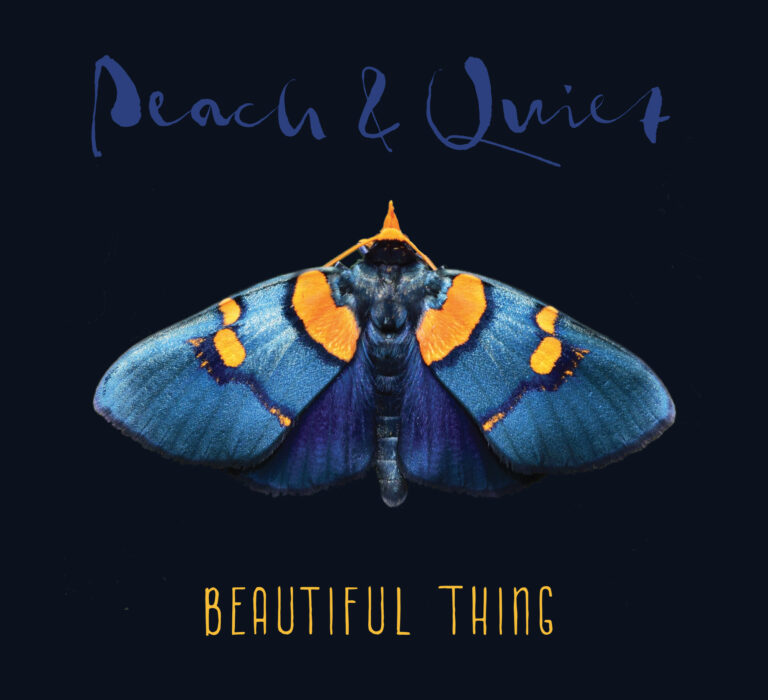 Peach & Quiet - Beautiful Thing album cover
