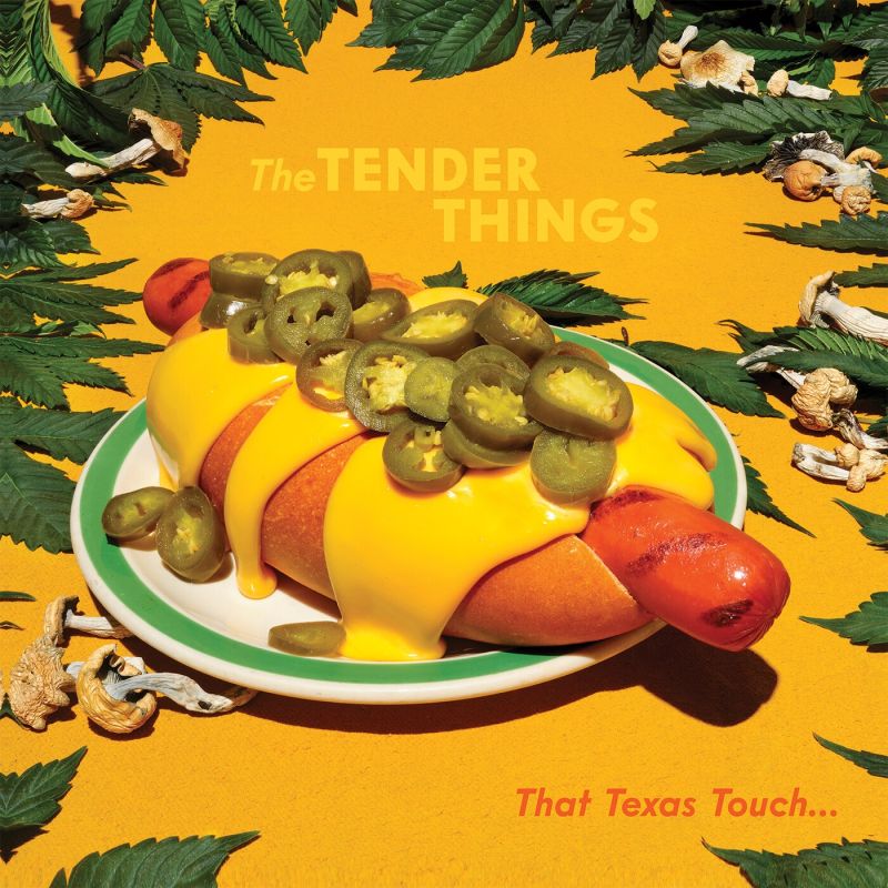 The Tender Things - That Texas Touch album cover