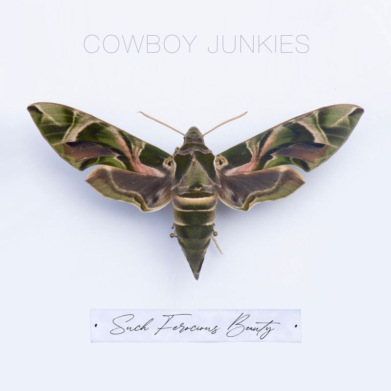 Cowboy Junkies - Such Ferocious Beauty album cover