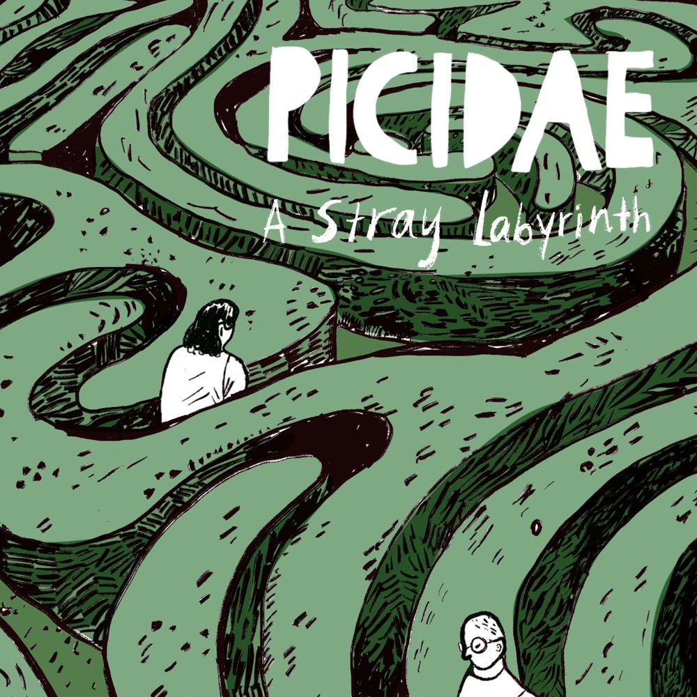 Picidae - A Stray Labyrinth album cover