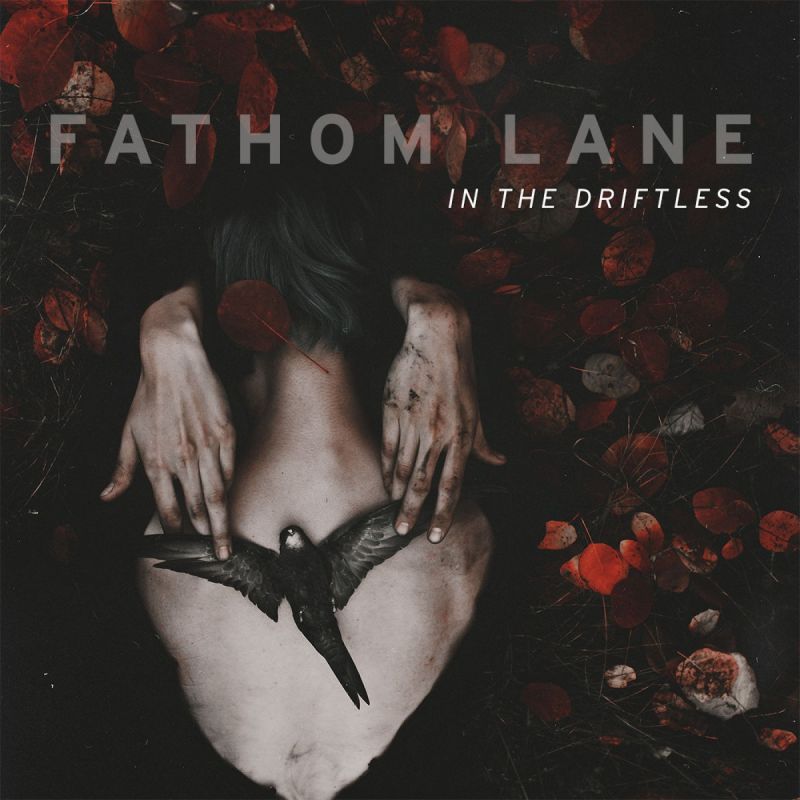 Fathom Lane - In the Driftless album cover