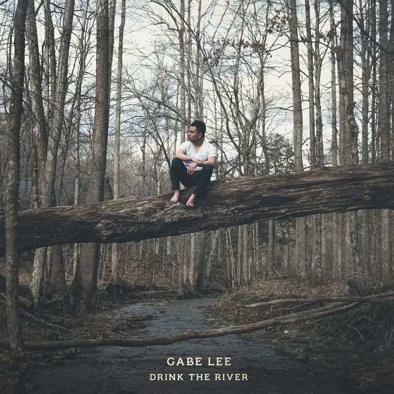 Gabe Lee - Drink the River album cover