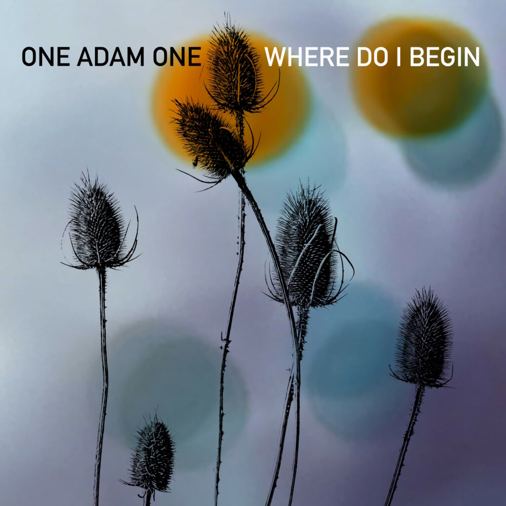 One Adam One - Where Do I Begin album cover