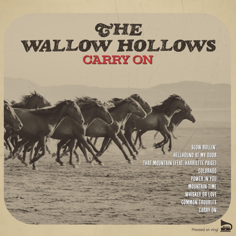The Wallow Hollows - Carry On album cover