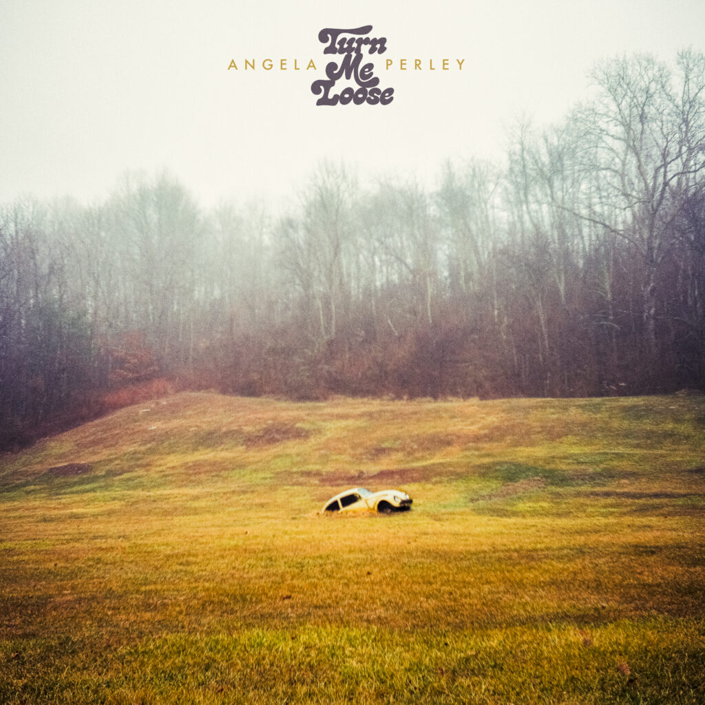 Angela Perley - Turn Me Loose album cover