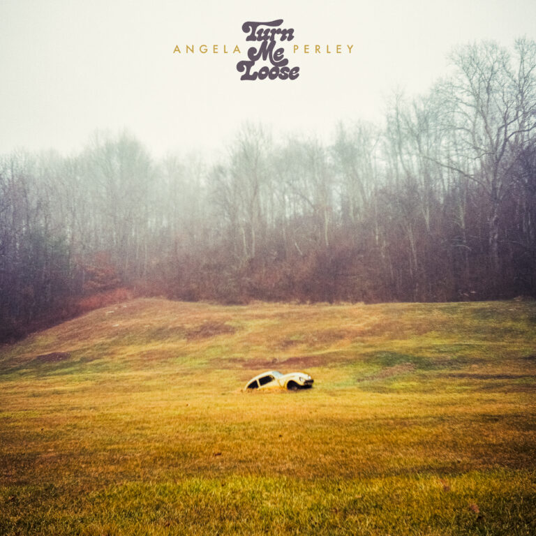 Angela Perley - Turn Me Loose album cover