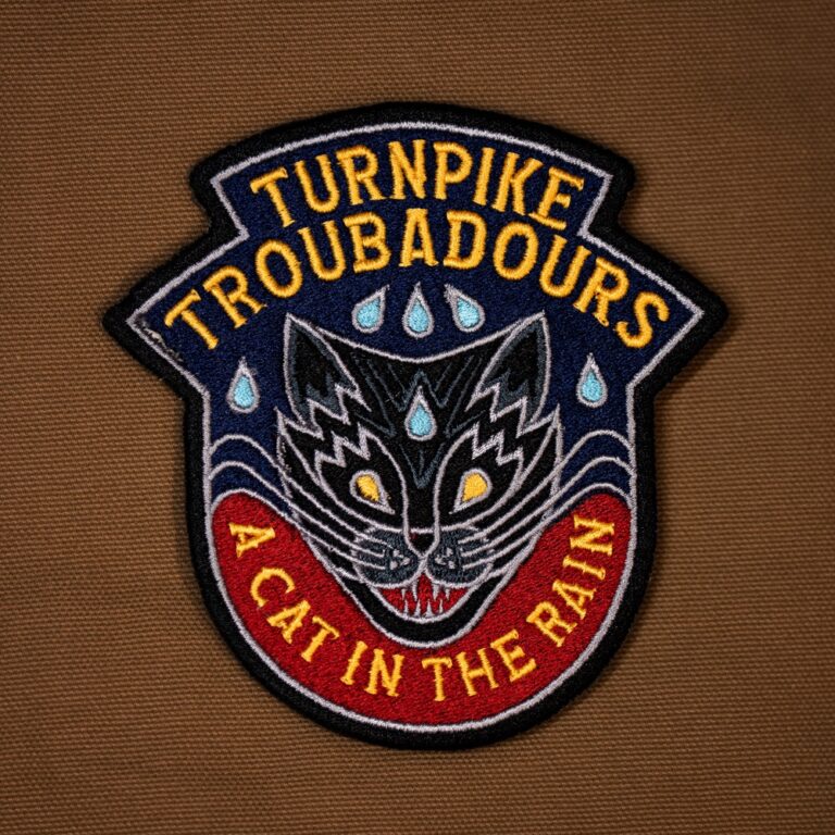 Turnpike Troubadours - A Cat in the Rain album cover