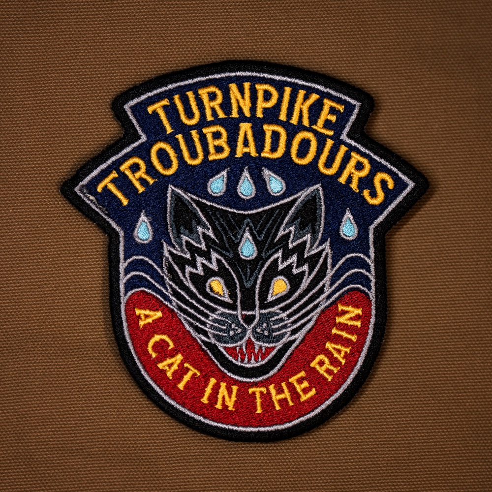 Turnpike Troubadours - A Cat in the Rain album cover