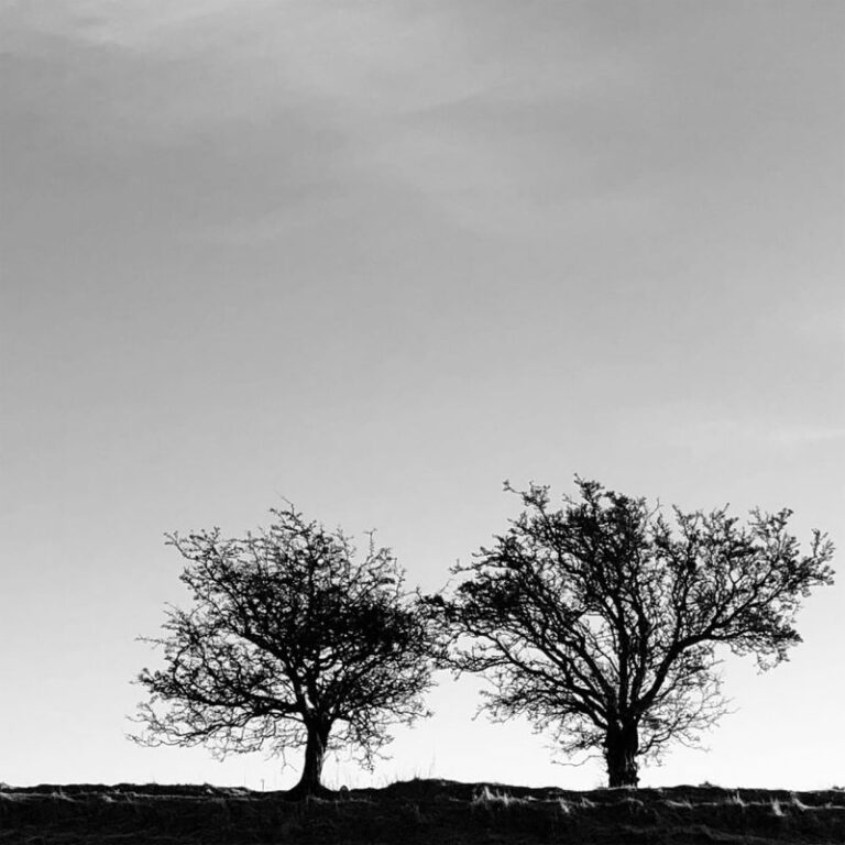 Jon Allen - A Heightened Sense of Everything album cover