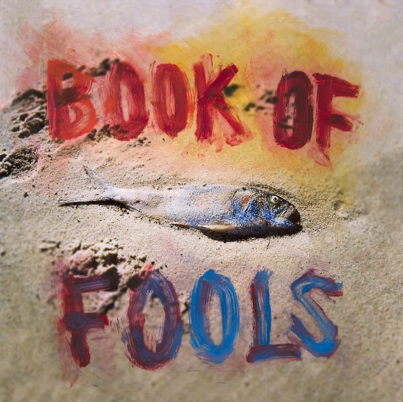 Mipso - Book of Fools album cover