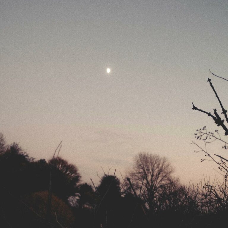 Rachel Sermanni - Dreamer Awake album cover