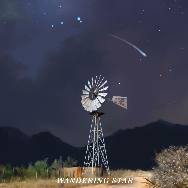 Flatland Cavalry - Wandering Star album cover