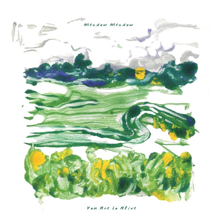 Meadow Meadow - You Are So Alive album cover