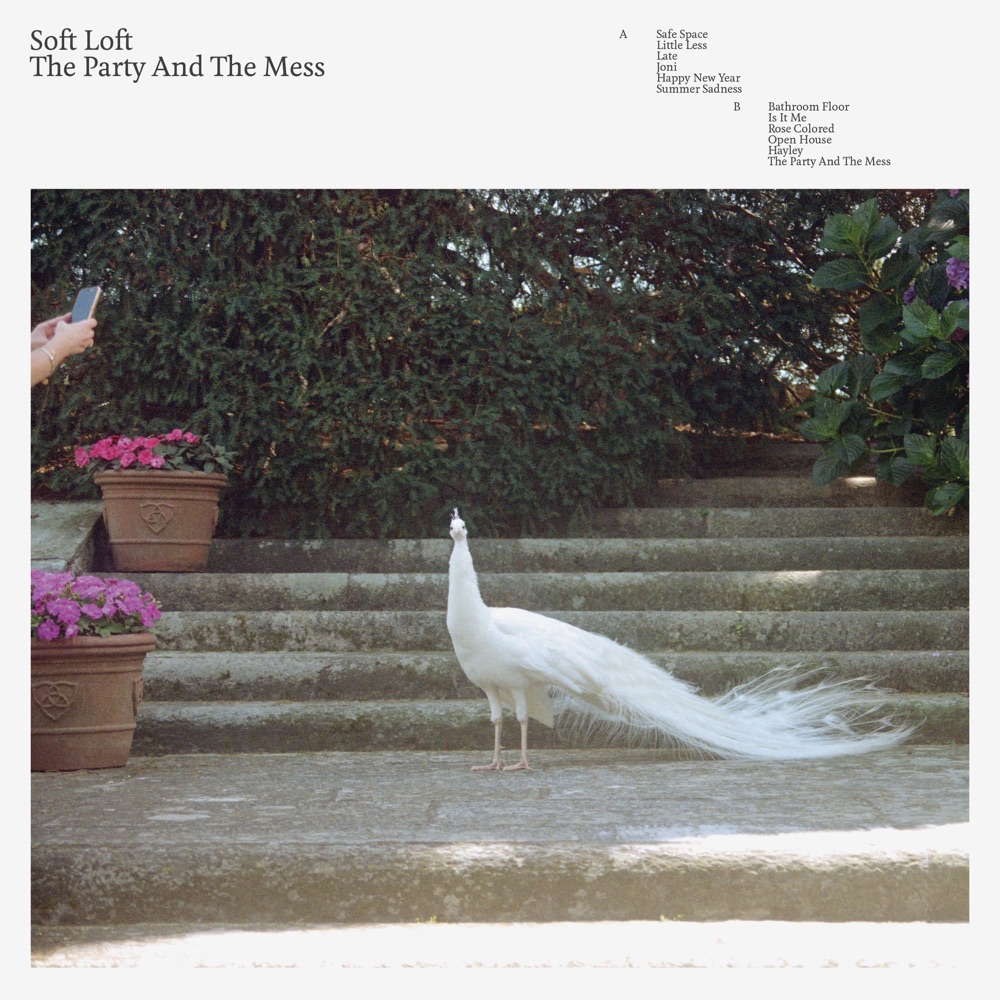 Soft Loft - The Party And The Mess album cover