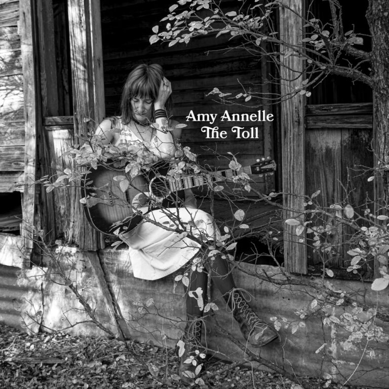 Amy Annelle - The Toll album cover