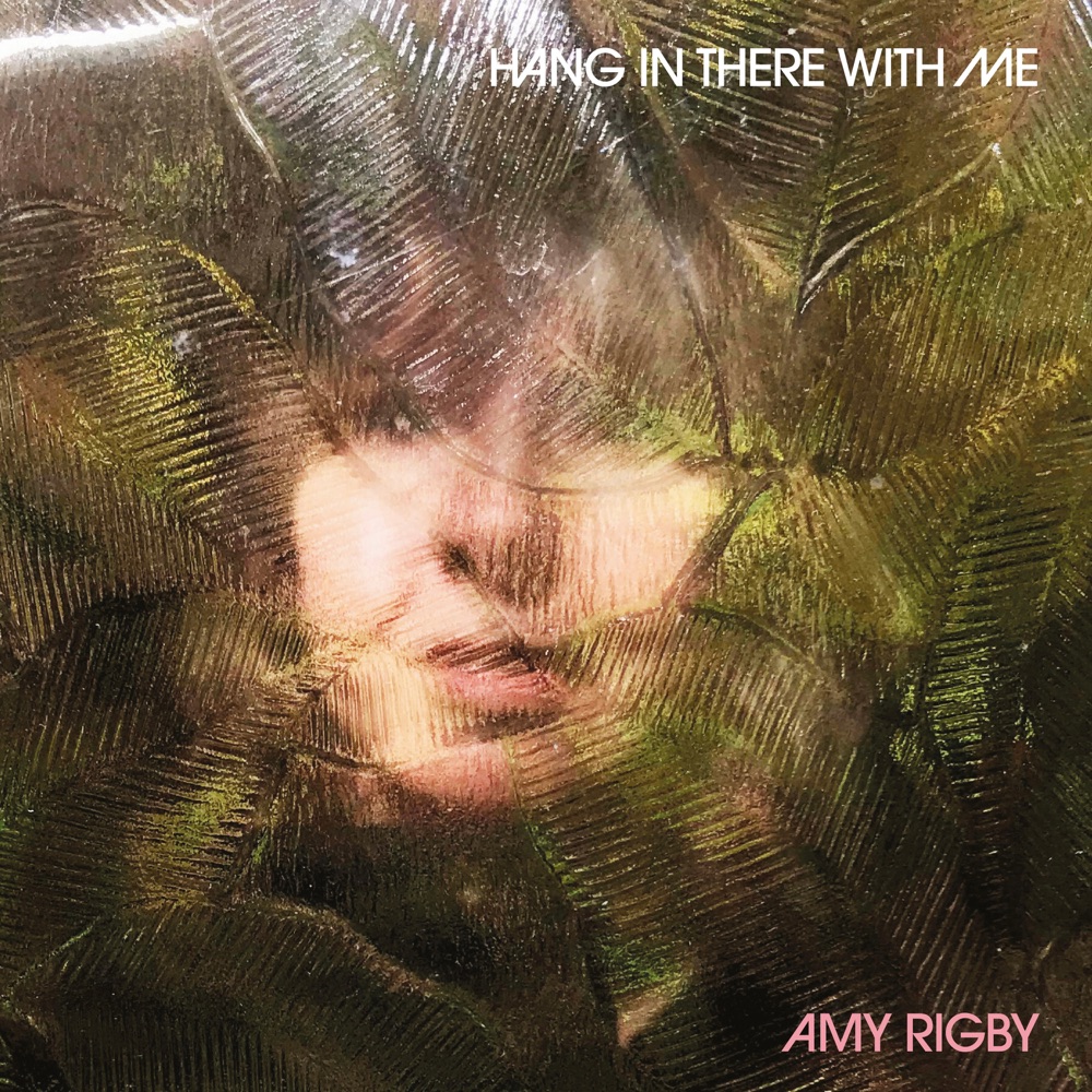 Amy Rigby - Hang In There With Me album cover