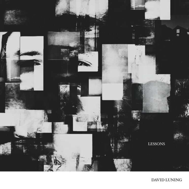 David Luning - Lessons album cover