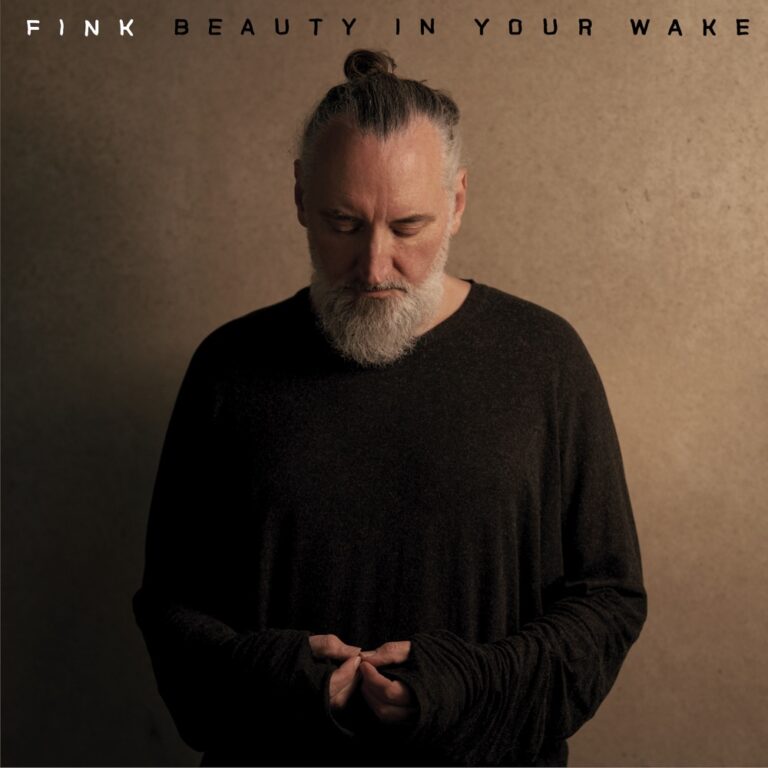 Fink - Beauty In Your Wake album cover