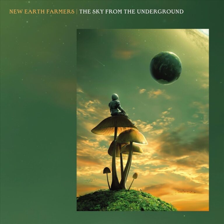 New Earth Farmers - The Sky From The Underground album cover