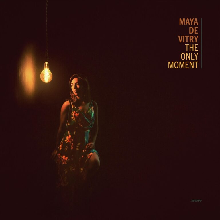 Maya De Vitry - The Only Moment album cover