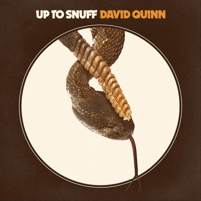David Quinn - Up to Sniff album cover