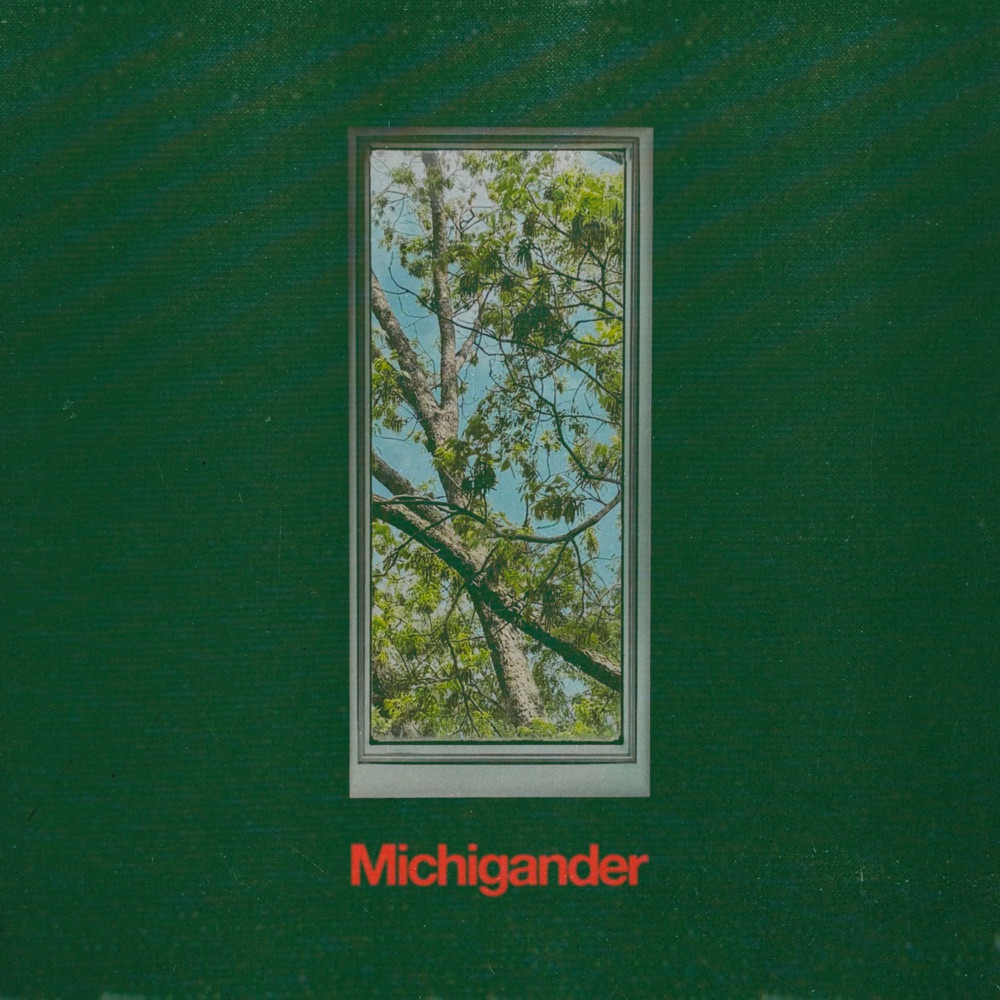Michigander - Michigander album cover