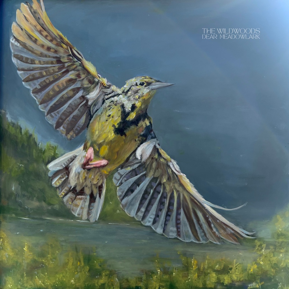The Wildwoods - Dear Meadowlark album cover