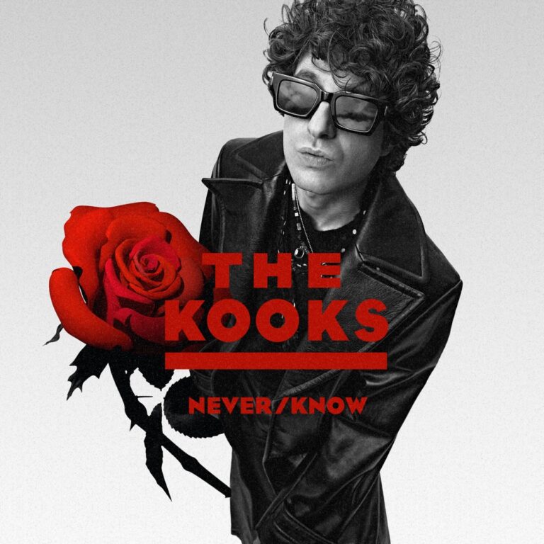 The Kooks - Never/Know album cover