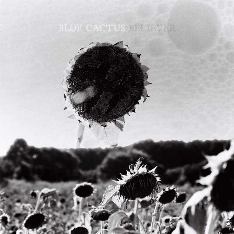 Blue Cactus - Believer album cover