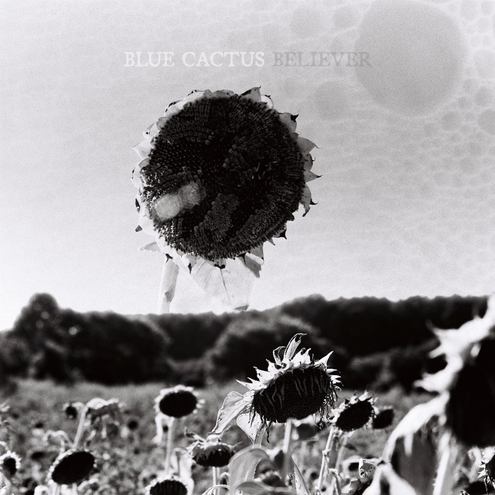 Blue Cactus - Believer album cover