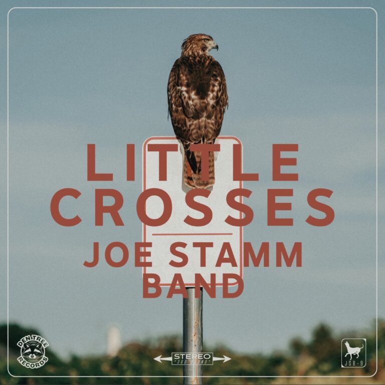 Joe Stamm Band - Little Crosses album cover