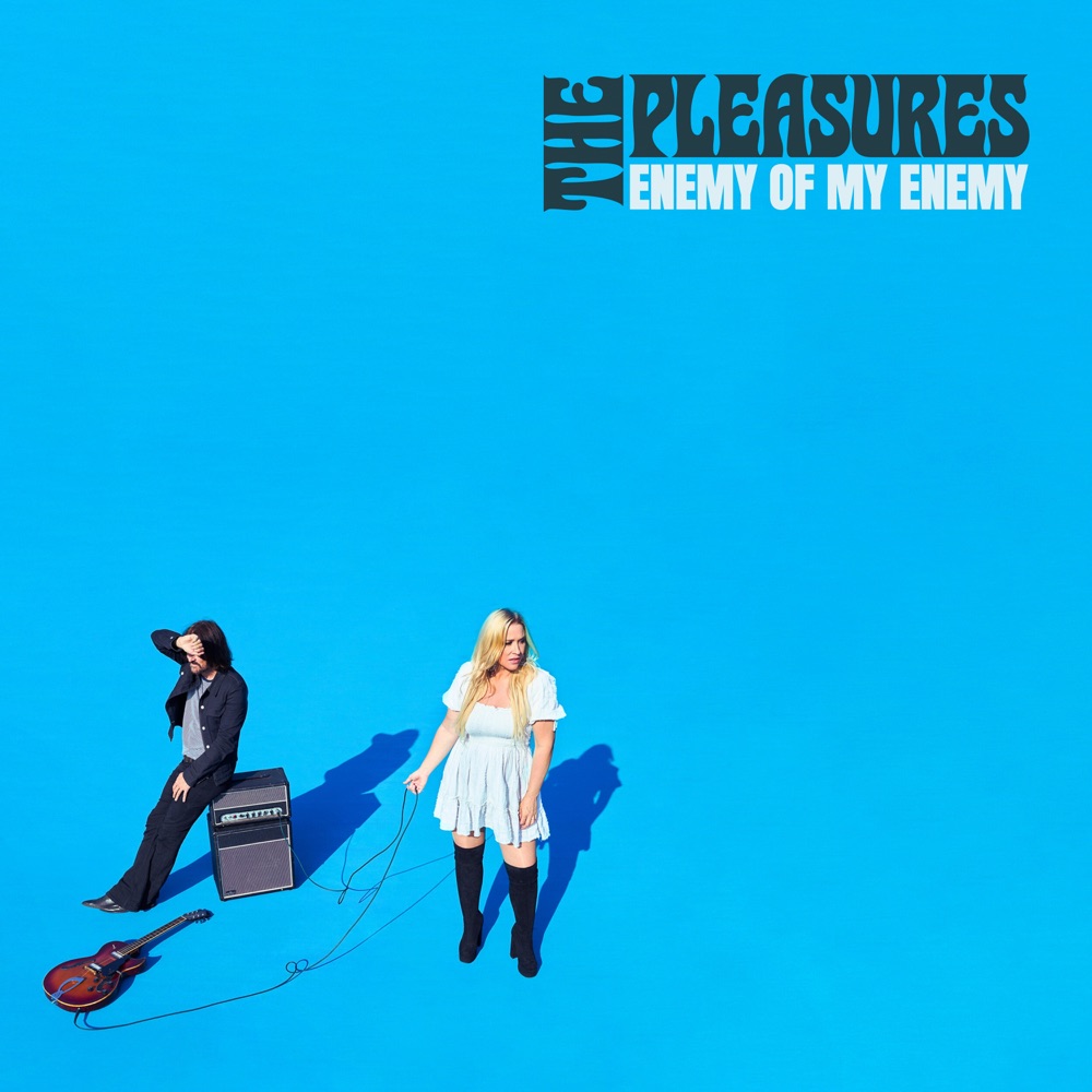 The Pleasures - Enemy Of My Enemy album cover