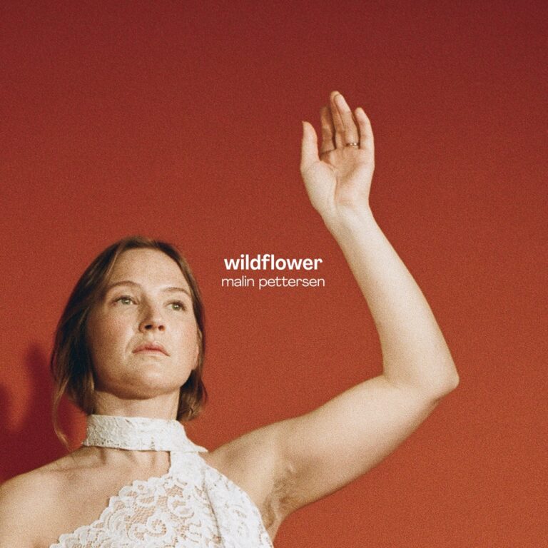 Malin Pettersen - Wildflower album cover