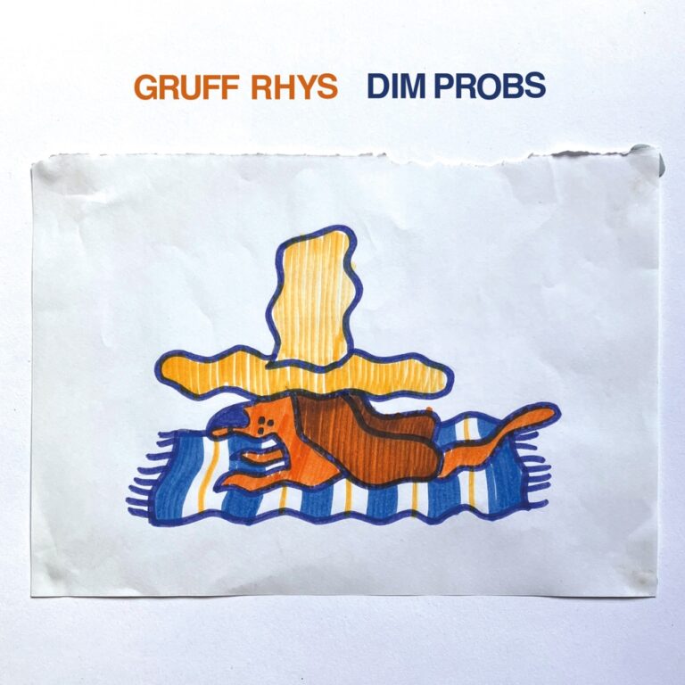 Gruff Rhys - Dim Probs album cover