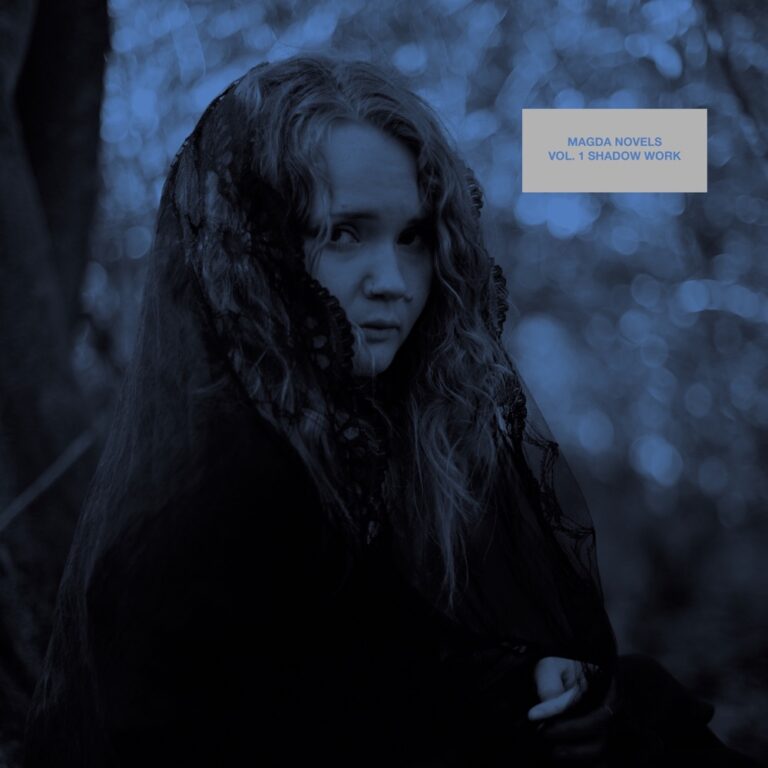 Magda Novels - Vol. 1 Shadow Work album cover