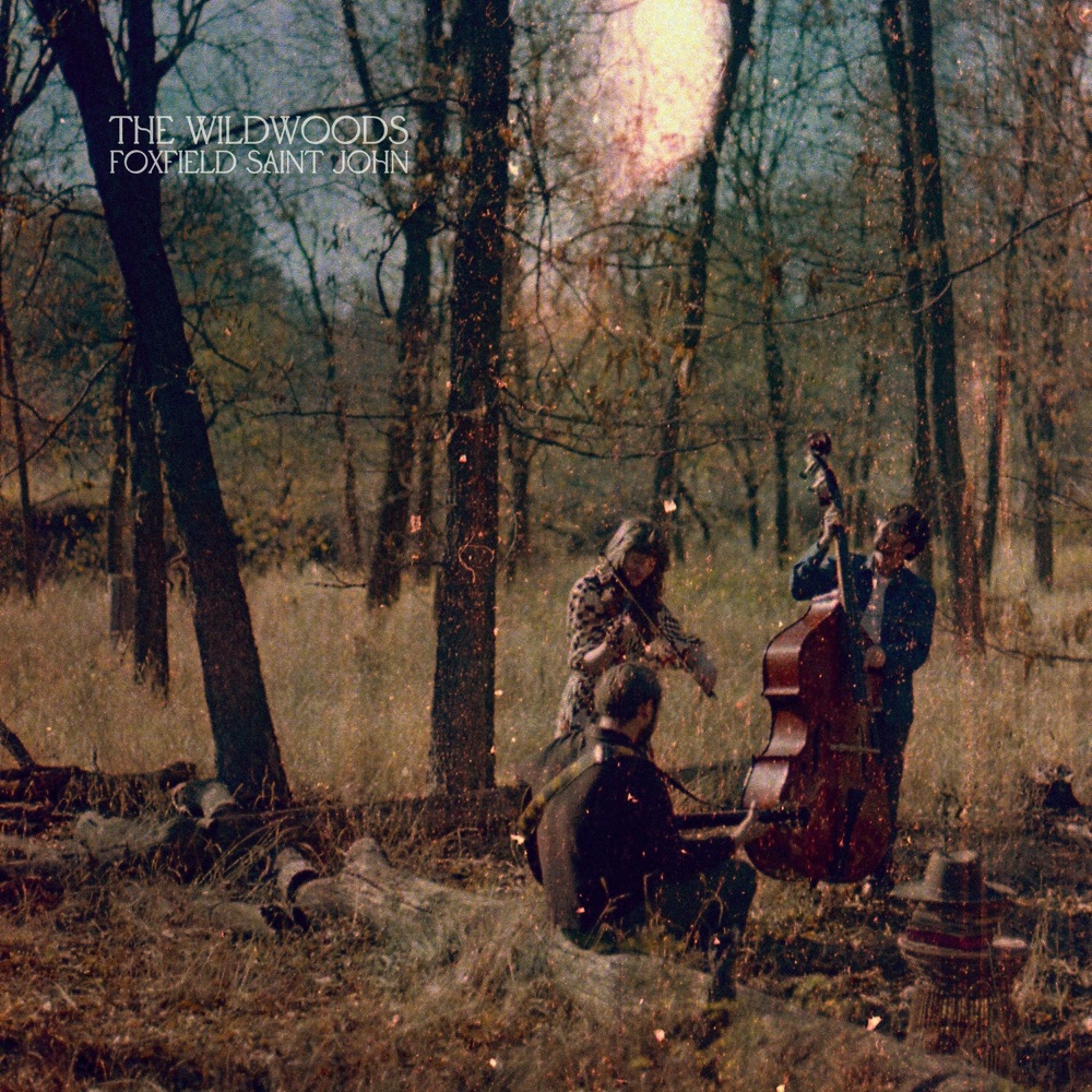 The Wildwoods - Foxfield Saint John album cover