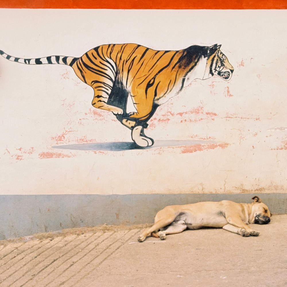 There's A Tuesday - Blush album cover