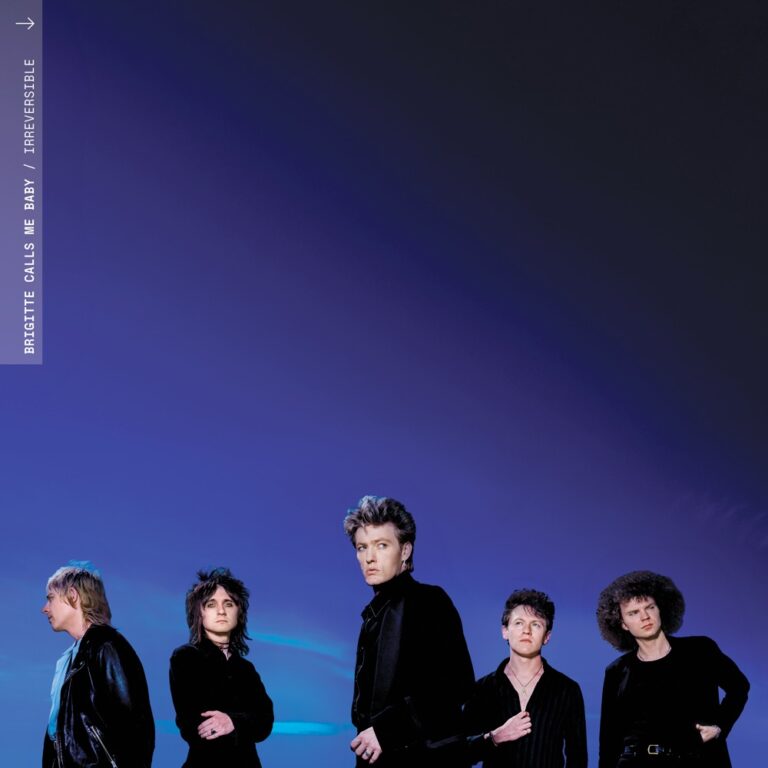 Brigitte Calls Me Baby - Irreversible album cover