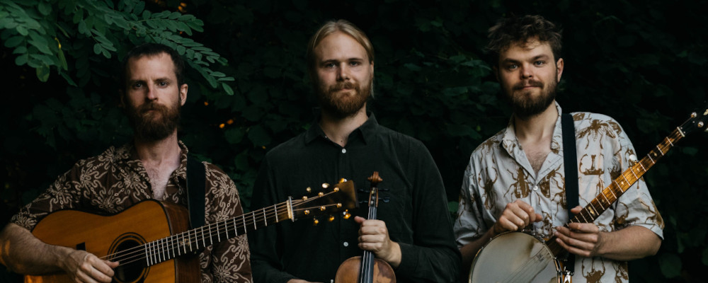 New Valley String Band